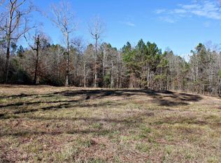 Pid 112679 County Rd #1058, Wiergate, TX 75977