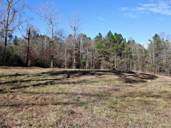 Pid 112679 County Rd #1058, Wiergate, TX 75977