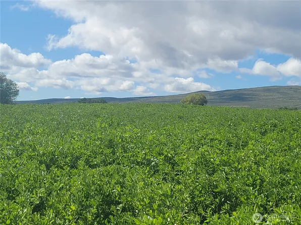 480 Kamiakin Road, Ellensburg, WA 98926