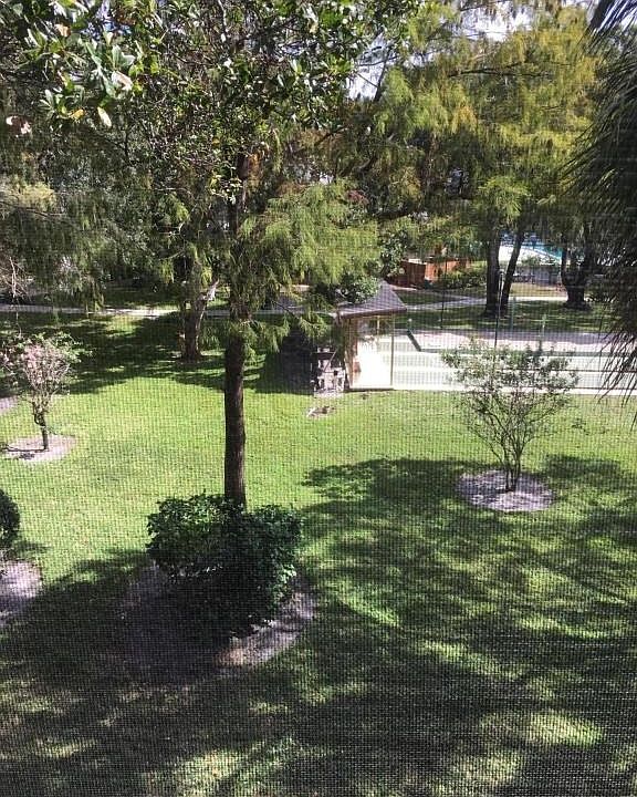 View from Patio