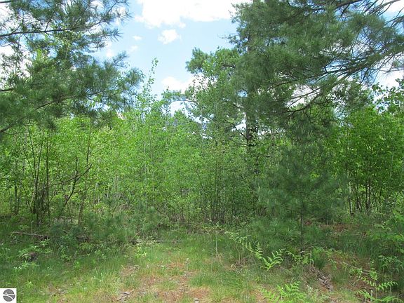 2nd image of 0 White Pine Dr