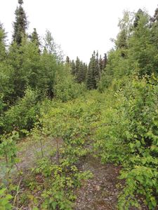 26634 W Lakeshore Cir, Willow, AK, 99688