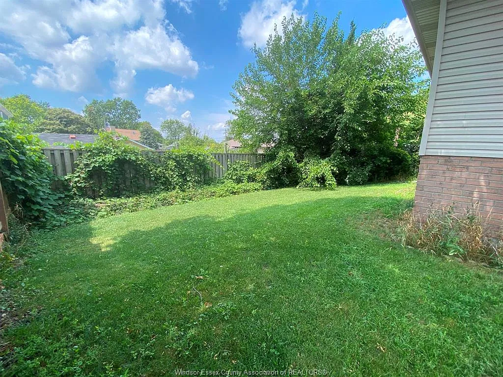3 bed, $2,900 — Photo 3
