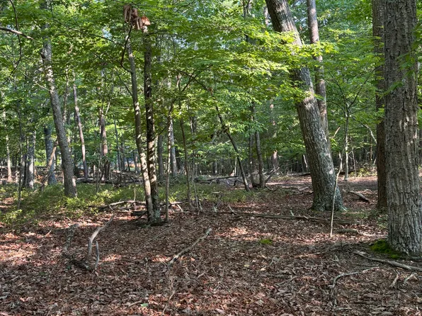 75 Mountain View Shrs, Huddleston, VA 24104