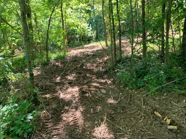 Mullins Rd, Luray, TN 38352