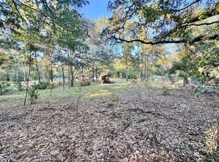 20610 South Rd #52, Altoona, FL 32702