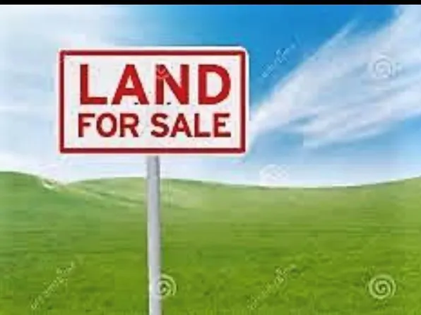 LOT-22H S Tidwells Rd, Montross, VA 22520