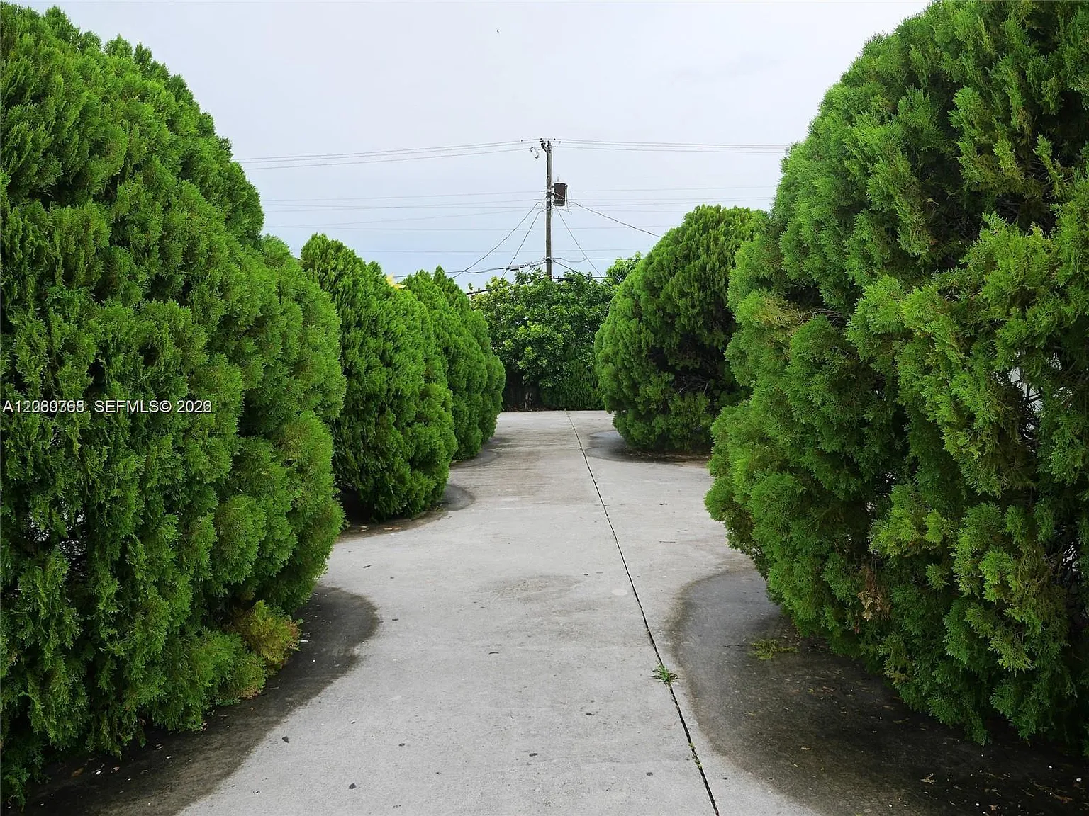 Town Of Hialeah Fla — Photo 3