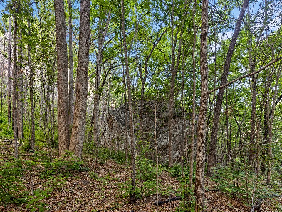 73rd image of 748 Woodcock Rd