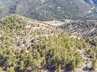 Wild Wagoner Tr, Dumont, CO 80452