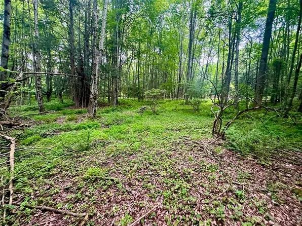 125 South Hill Road, Neversink, NY 12765