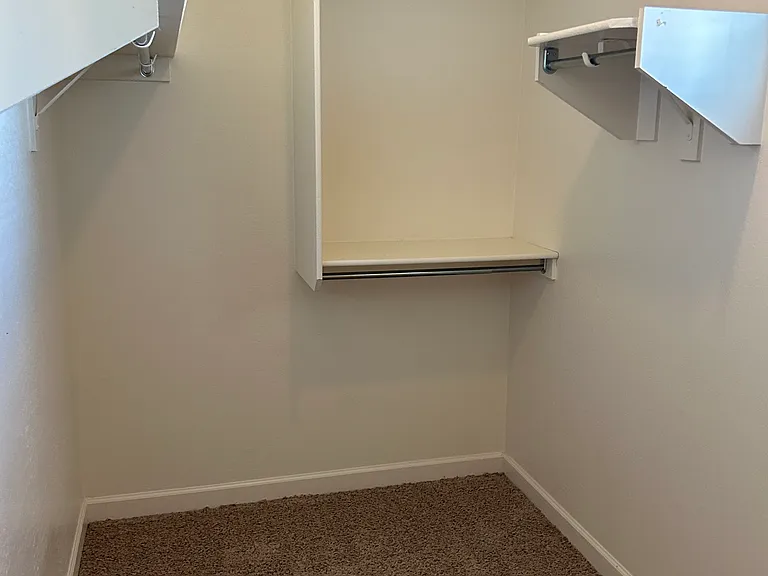 Walk-in closet in primary bedroom