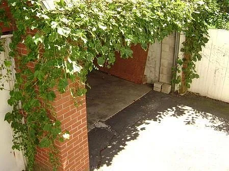 Alma Ave — Photo 17