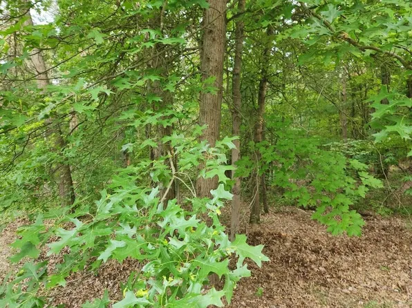1099 Chicago Dr Lot 20, Whitehall, MI 49461