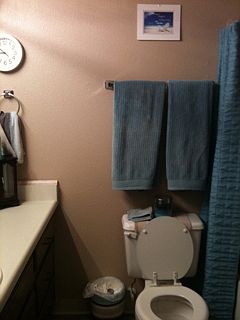 Attached bathroom off Master