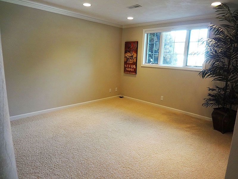 Lower level family room