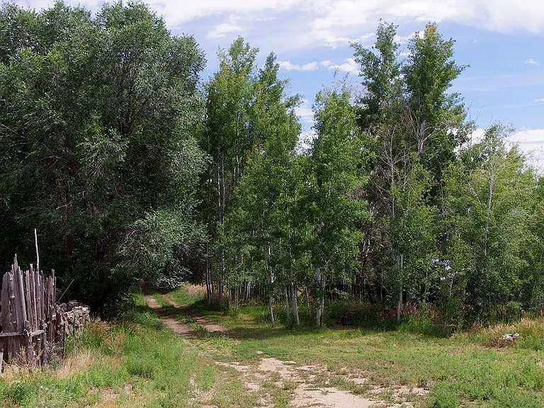 7 Las Animas Rd #B — Photo 24