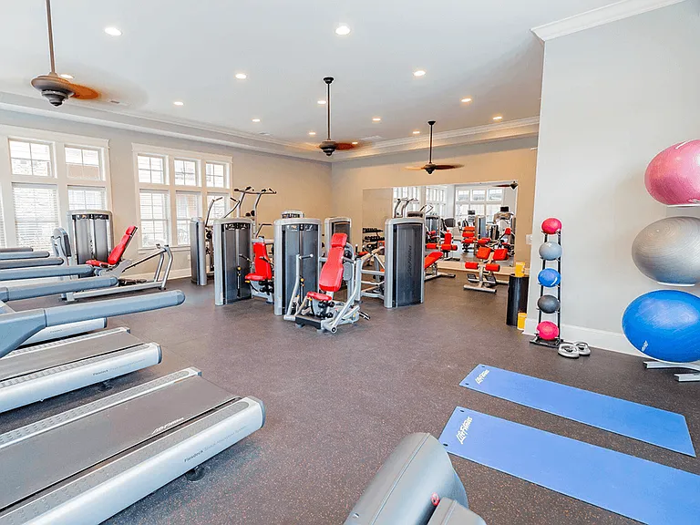 Professional Fitness Center