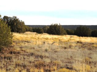 4061 Indian Bend Rd, Snowflake, AZ 85937