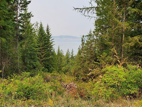 3rd image of LOT 2 E Bay Ln
