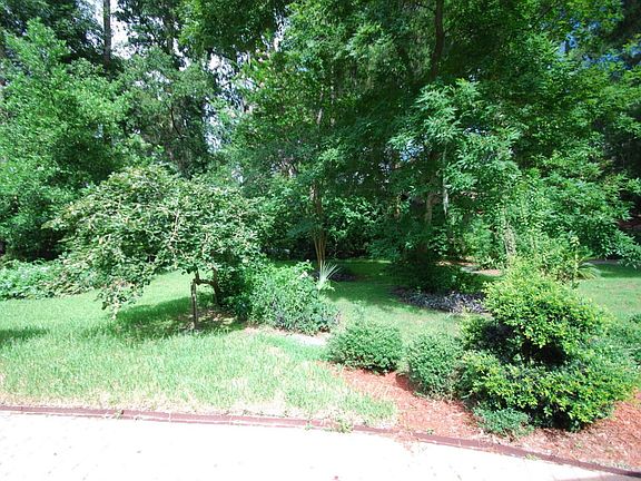 Backyard 2