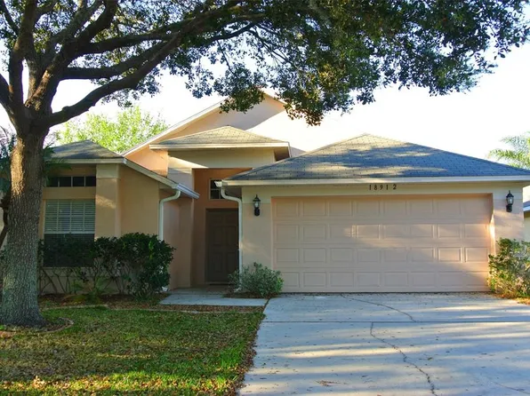 18912 Wood Sage Dr, Tampa, FL 33647