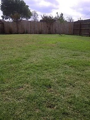 3202 Green Valley Dr — Photo 11