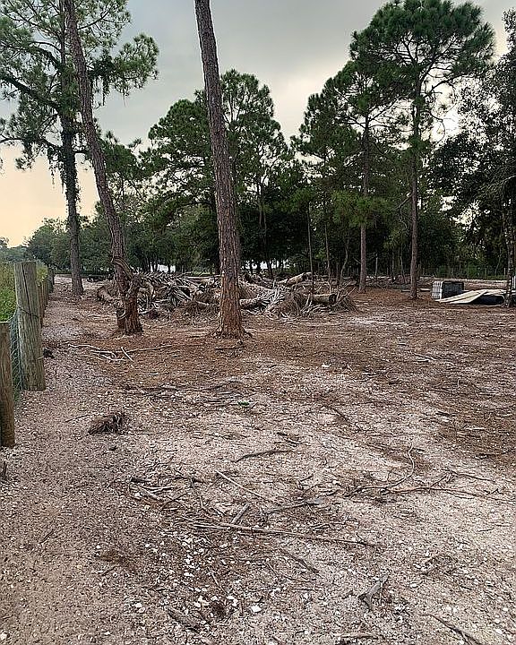 1st image of 770 S Palomino St
