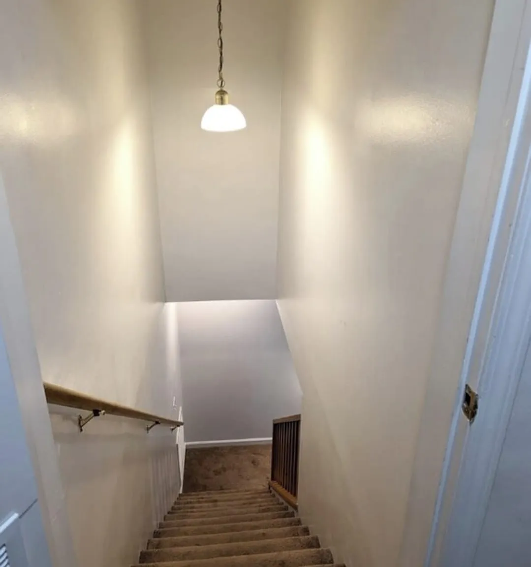 3009 Murril Ln — Photo 2