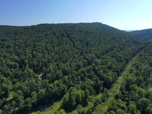 0 Mill Creek Rd, Mill Creek, WV 26280