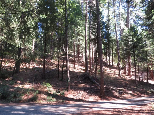 172 Sylvan Rd, Colfax, CA 95713