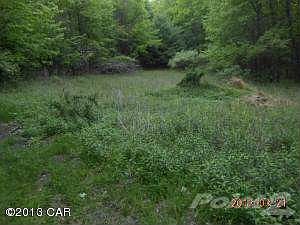 325 Ben titus road field 2