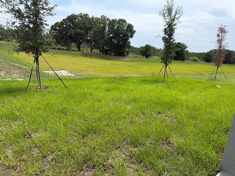 3910 Limeklin Falls Loop — Photo 32