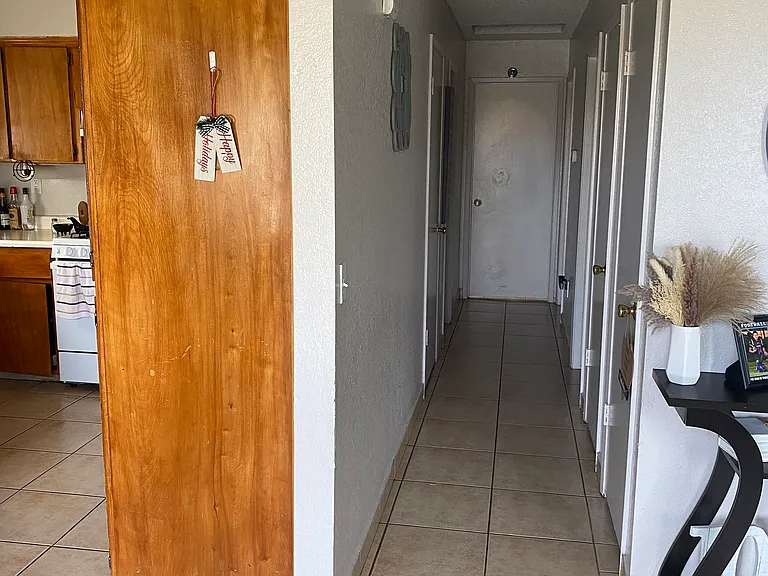 Hallway with plenty utility storage space.