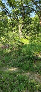 35.90AC Kassner Road, Wisconsin Dells, WI, 53965