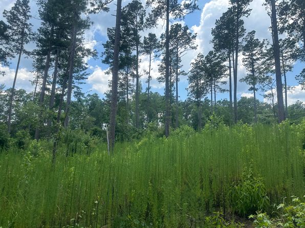 Ouachita Road 24/east Of Ouachita Rd #75, Chidester, AR 71726