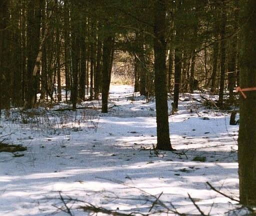 36 acres of land to cut your own trails thru