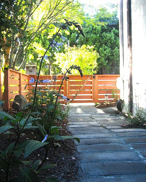 Drought-tolerant landscaping in front yard