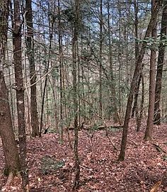 2nd image of Brook Ct