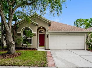 10270 Oasis Palm Dr, Tampa, FL 33615