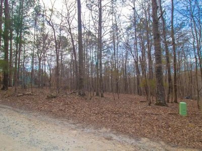 12 Mountain Rd, Hamilton, GA, 31811