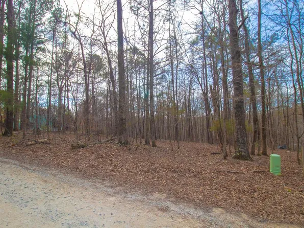 12 Mountain Rd, Hamilton, GA 31811