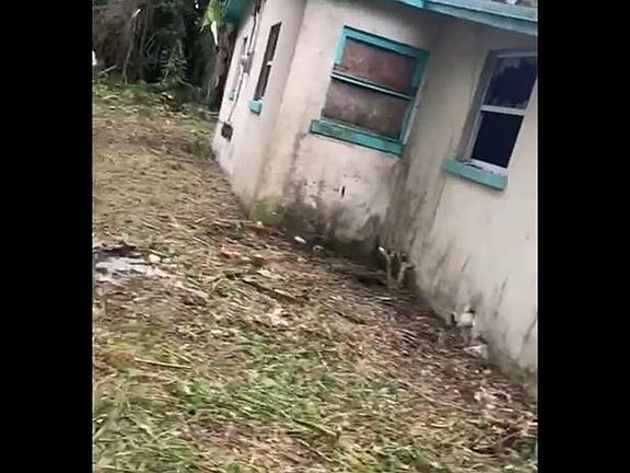 3rd image of 3966 NW 38th Avenue