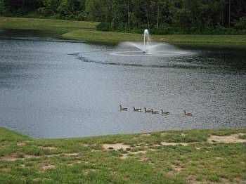 2nd image of 2765 Valley Brook Dr
