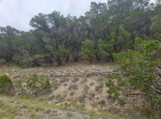 8185 Arroyo Ave, Leander, TX 78645