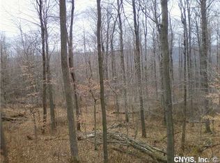 868 Bacon Hill Rd, Homer, NY 13077