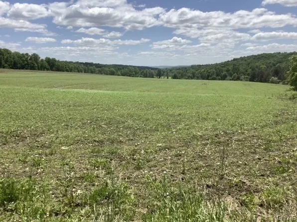 370 Arnold Rd #7, Lisle, NY 13797