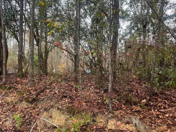 0 Evergreen Cir, Gordon, GA 31031