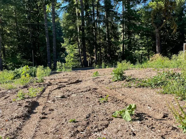 Cascadia Dr, Cascadia, OR 97329