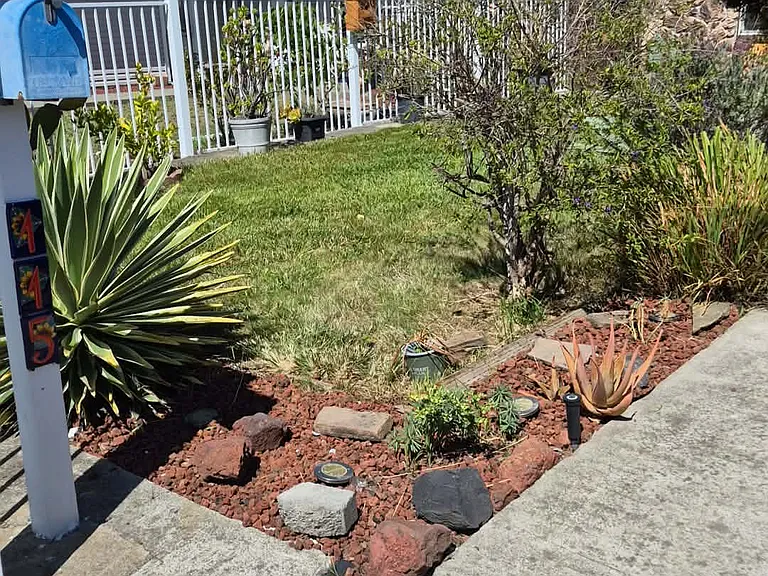 115 Azalea Ct — Photo 4